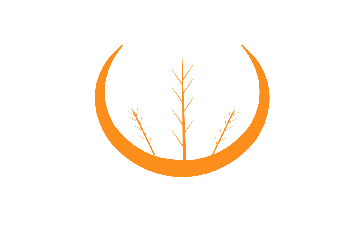 Nhà Thuốc Việt Nam