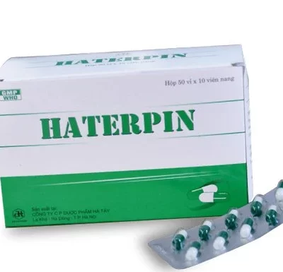 Haterpin Long đờm/1 vỉ